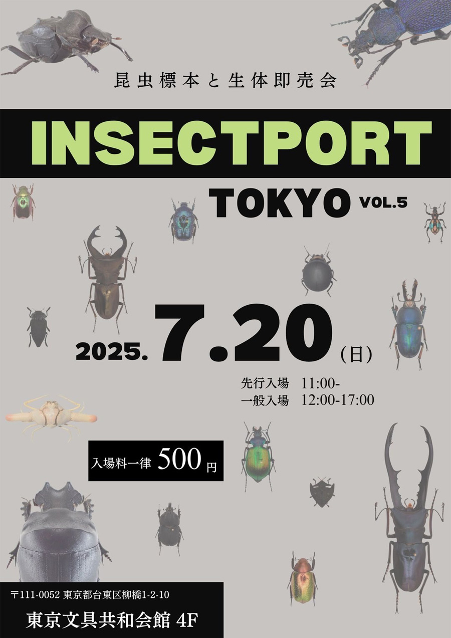 INSECTPORT