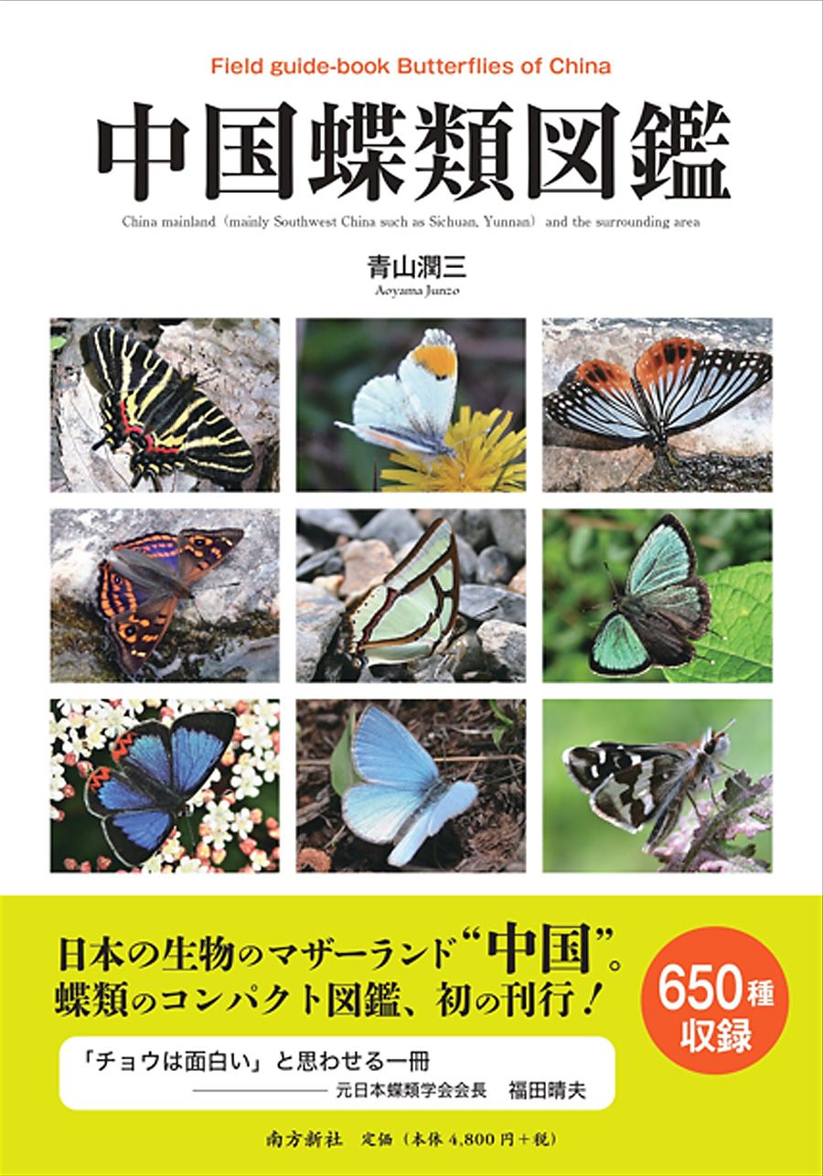 Lepidoptera | Roppon-Ashi