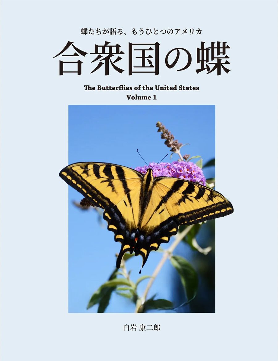 Lepidoptera | Roppon-Ashi