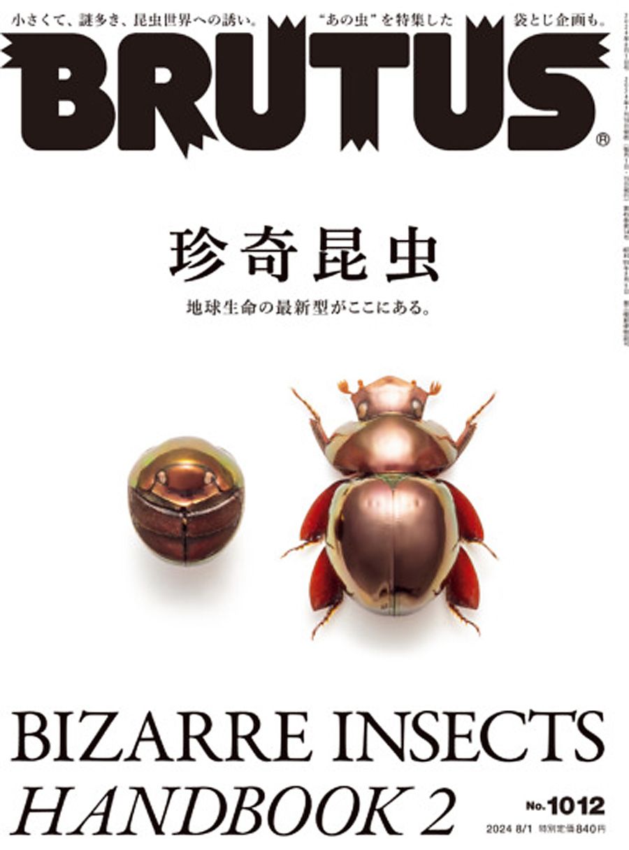 バガボンド 画集 WATER 墨 BRUTUS セット 井上雄彦 - メルカリ