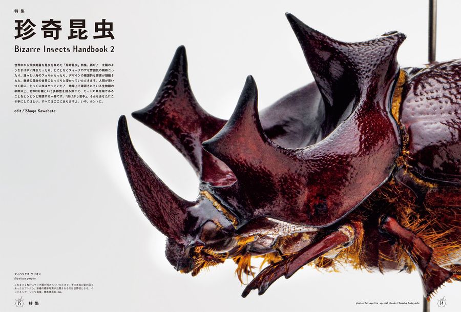 BRUTUS No.1012 Bizarre Insects Handbook 2 | Roppon-Ashi